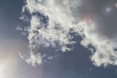 Low angle view of smoke emitting from tree against sky