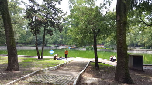 Man and trees in park against sky