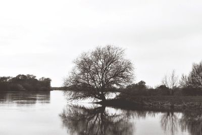 Reflection of trees in lake against sky