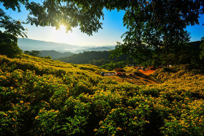 Scenic view of landscape against sky
