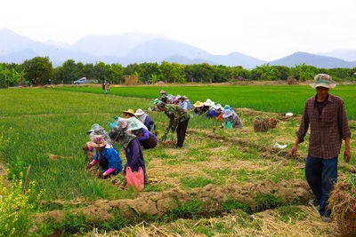 People working in farm against sky