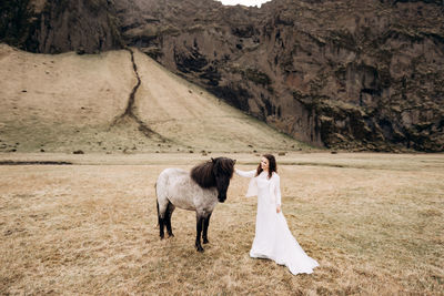 Horses standing on field