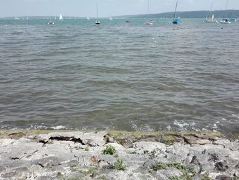 Sailboats on sea shore against sky