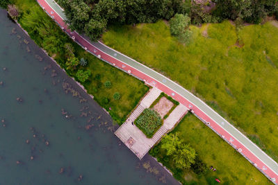 High angle view of swimming pool in park