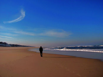 Rear view of man on beach against sky