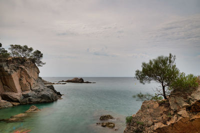 Scenic view of sea and cliff