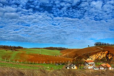 Scenic view of agricultural field against sky