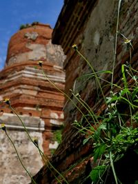 Low angle view of rusty building