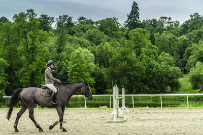 Horse riding horses on land