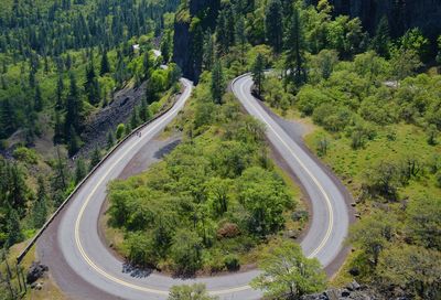 High angle view of road passing through forest