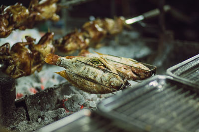 Close-up of fishes on barbecue grill