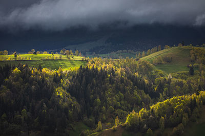 Landscape with the beauty of spring season in the mountain area.