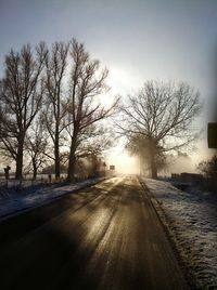 Road amidst bare trees against sky