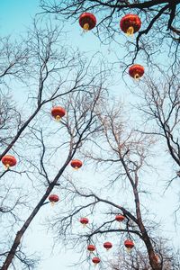 Low angle view of tree against sky