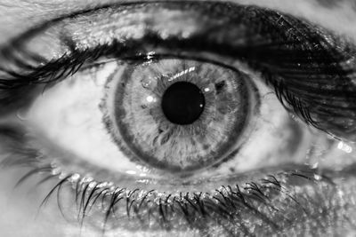 Close-up of human eye