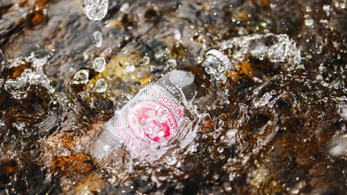 High angle view of raindrops on rock