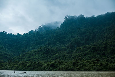 Scenic view of river in forest against sky