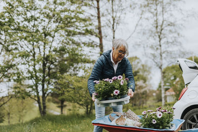 Woman loading flowers on wheelbarrow