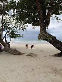 People relaxing on beach