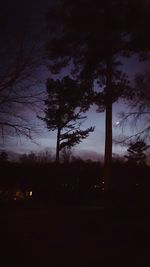 Silhouette of trees against sky at dusk