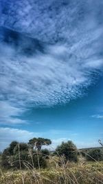 Scenic view of landscape against cloudy sky