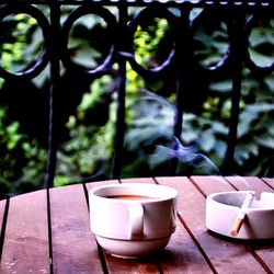 Potted plants in pot