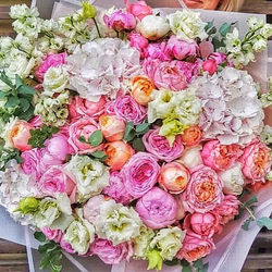 High angle view of pink roses on plant