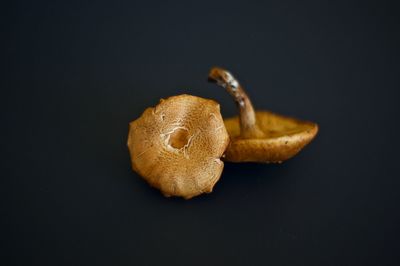 Close-up of bread against black background