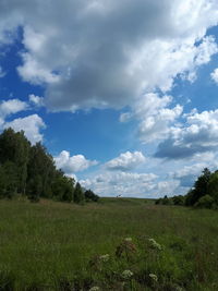 Scenic view of field against sky