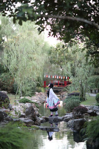 Rear view of woman standing in lake