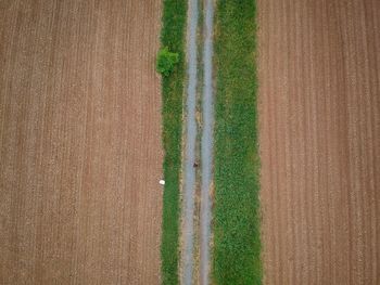 Full frame shot of agricultural field