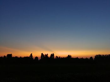 Silhouette trees on field against clear sky during sunset