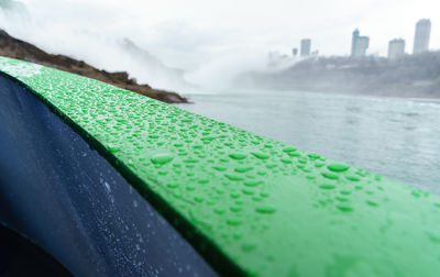 Close-up of green river in city against sky