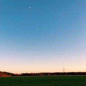 Scenic view of field against clear blue sky