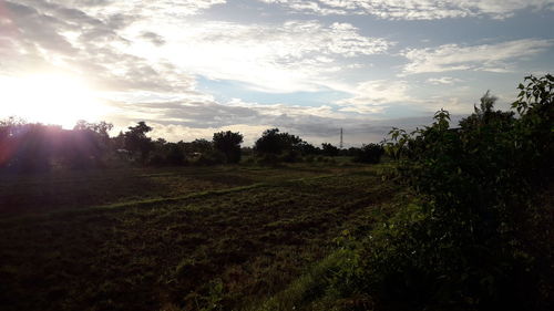 Scenic view of field against sky