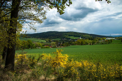 Scenic view of agricultural field against sky