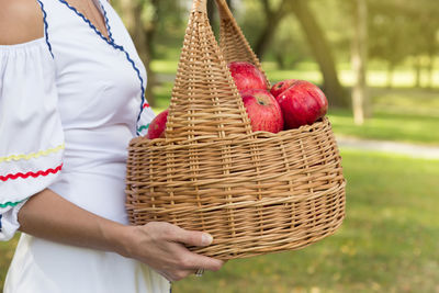 Midsection of woman holding basket full of apples in park