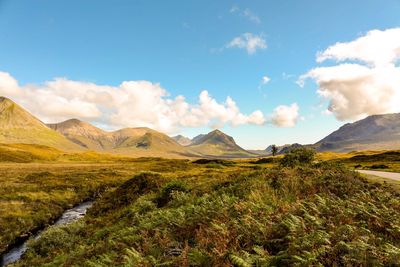 Scenic view of landscape against sky