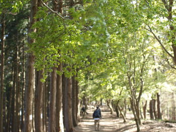 Woman walking along trees