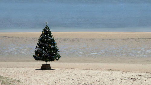 Scenic view of christmas tree on beach against sky