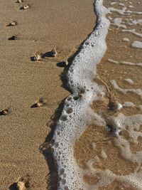 High angle view of beach