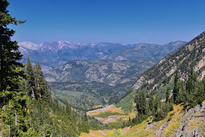 Timpanogos hiking trail landscape views in uinta wasatch cache national forest utah