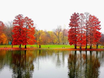 Scenic view of autumn trees against clear sky