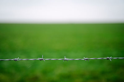 Barbed wire fence on field