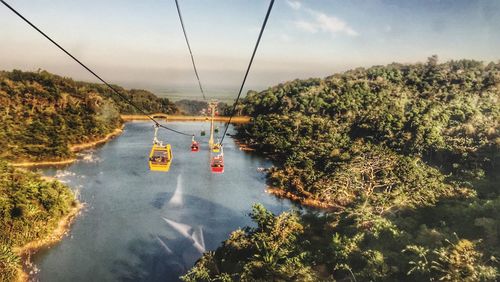 Overhead cable car in forest against sky