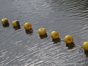 High angle view of yellow balls floating on water