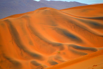 Scenic view of desert