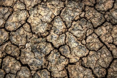 Full frame shot of dry cracking dirt