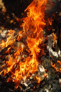 High angle view of bonfire on field