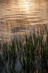 Scenic view of lake against sky at sunset